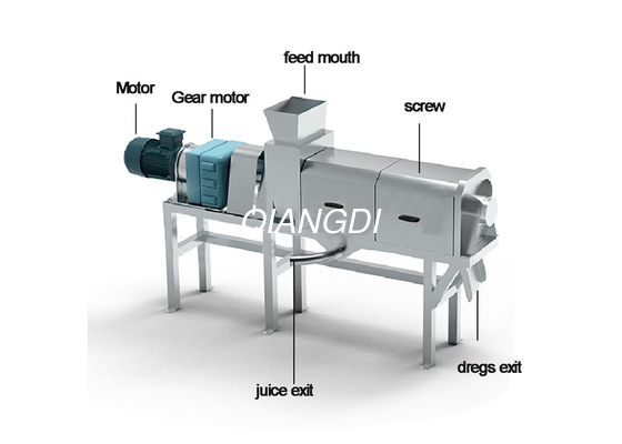 Industrial Automatic Double Screw Berry Pineapple Apple Grape Herb Vegetable Fruit Juice Squeezing Machine